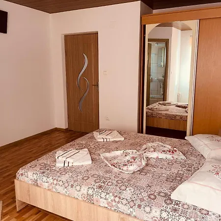 Dragomir Guest house *