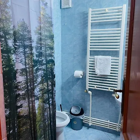 Dragomir Guest house