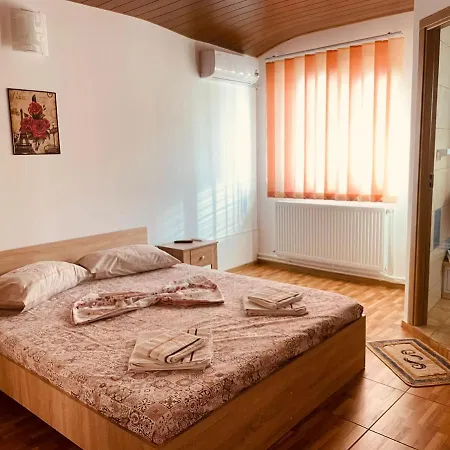 Dragomir Guest house *