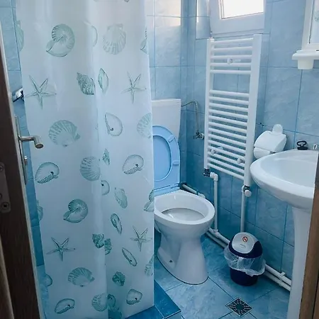 Guest house Dragomir *